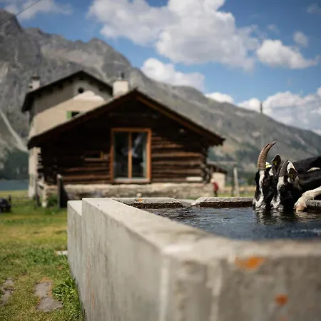 Stalla Capre Isola Casa de Férias Maloja