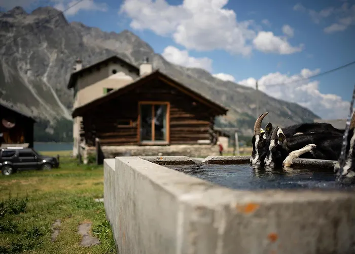 Stalla Capre Isola Holiday home Maloja